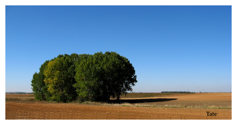 En campos de Castilla