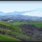 EN-  CHEMIN- VERS - St JEAN- PIED-de- PORT