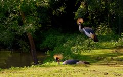 En couple pour la vie