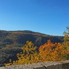 En descendant dans les gorges de la Siagne