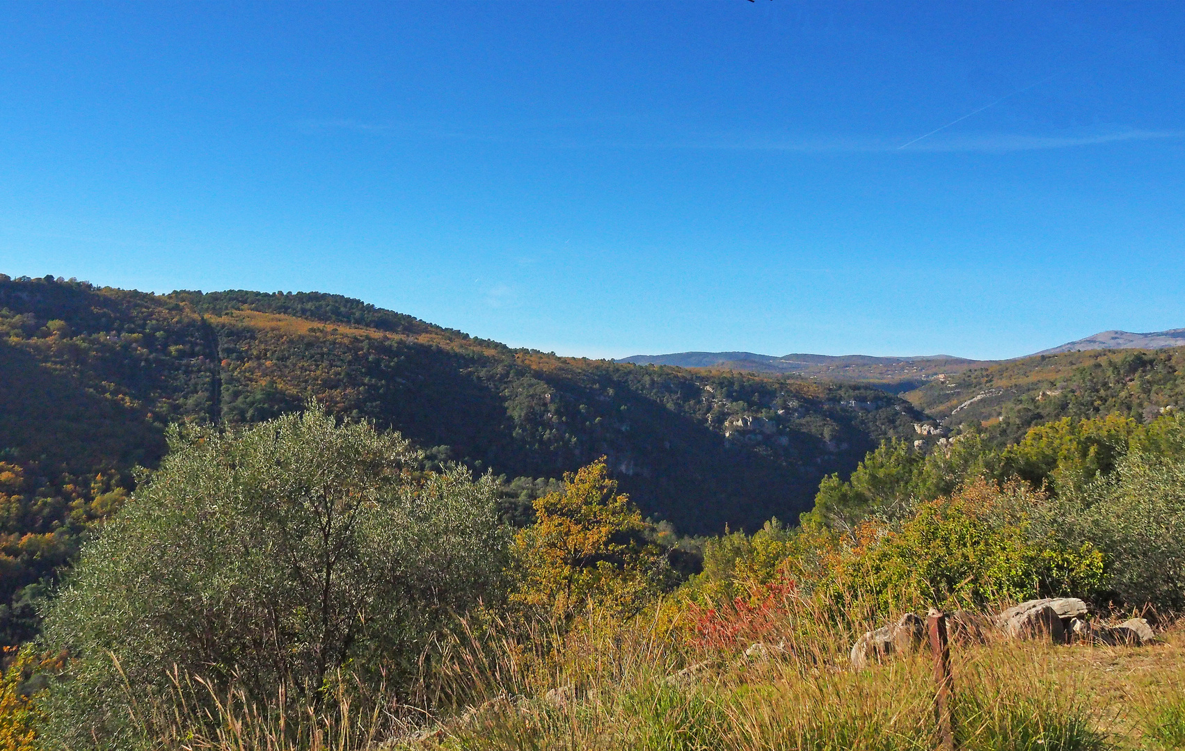 En descendant dans les gorges de la Siagne