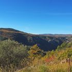 En descendant dans les gorges de la Siagne