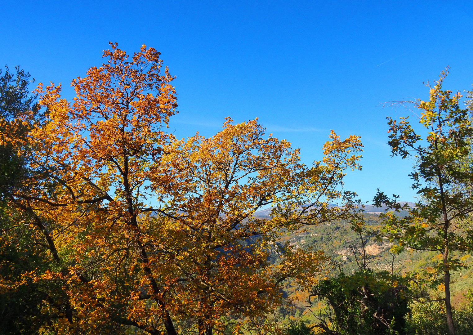 En descendant vers les gorges de la Siagne