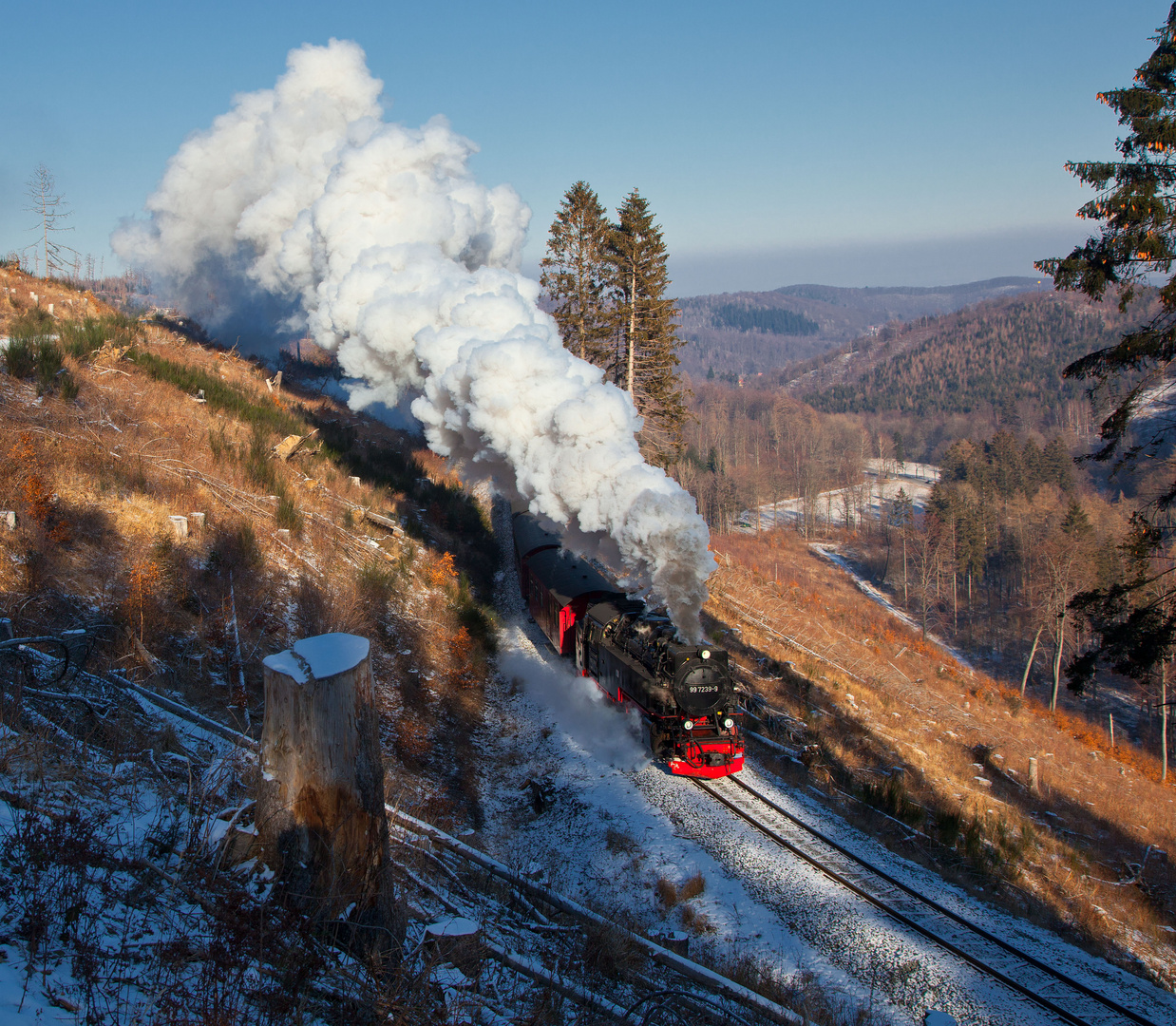 En Drängetal / Harz