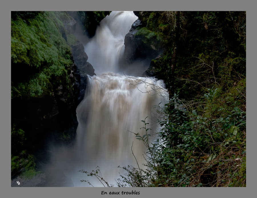 En-eaux-troubles