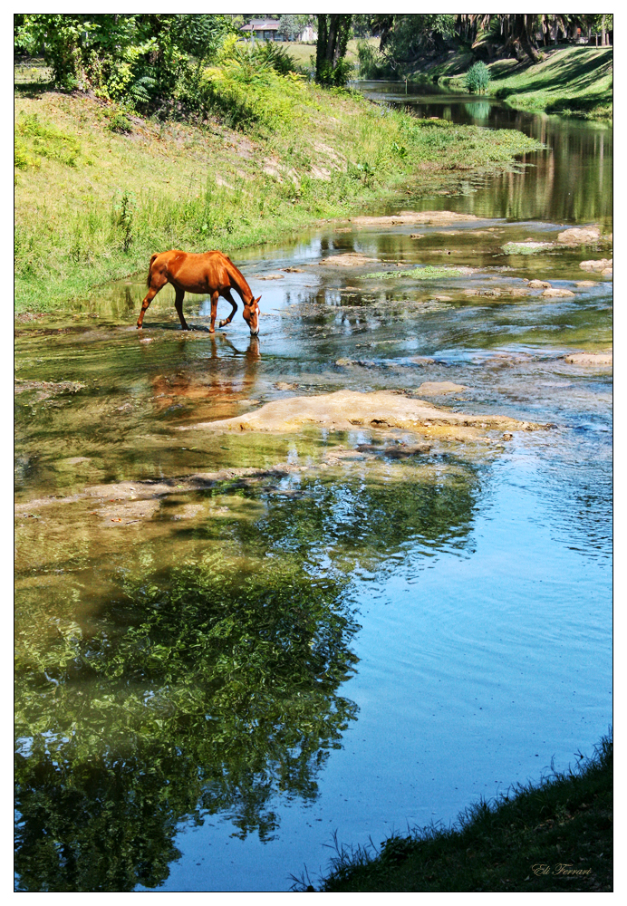 En el arroyo