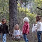 EN EL BOSQUE