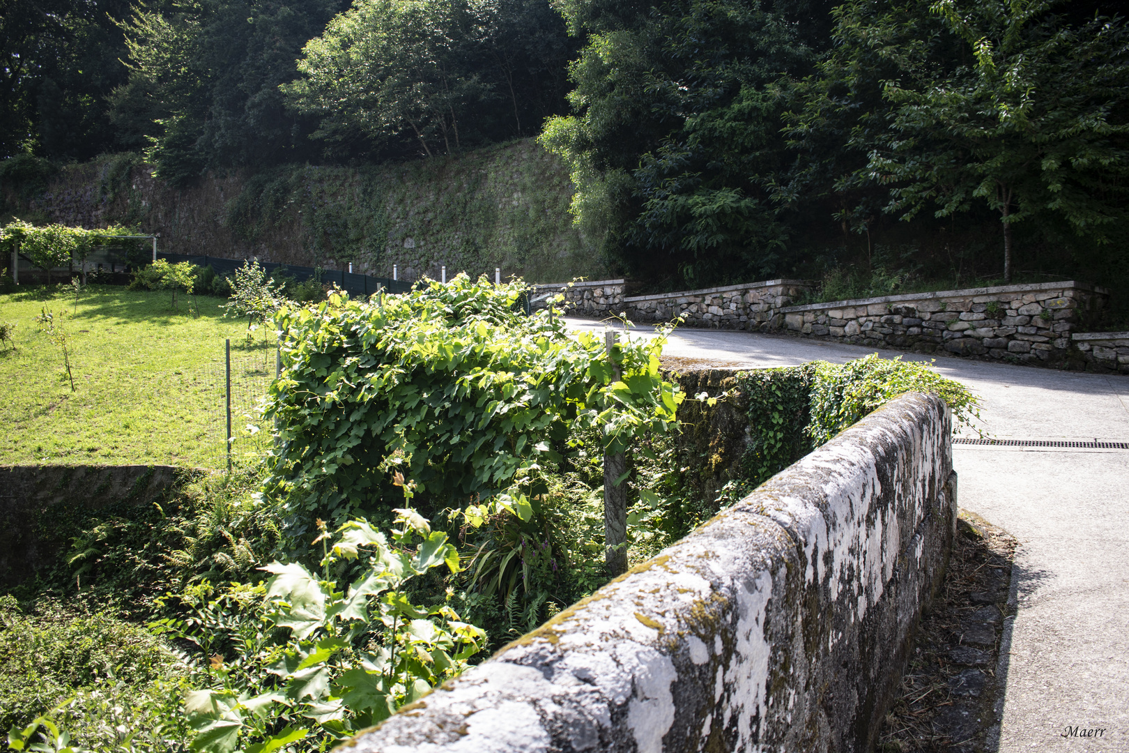 En el Camino de Santiago.