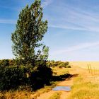 En el camino de Santiago (Camino  francés, 1)