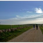 En el camino hacia Salamanca (Vía de la Plata, 2)