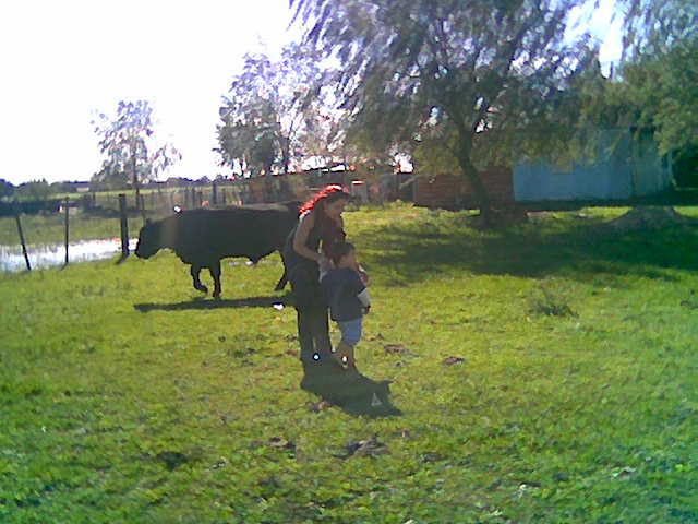 en el campo