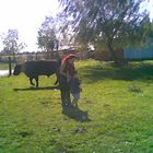 en el campo