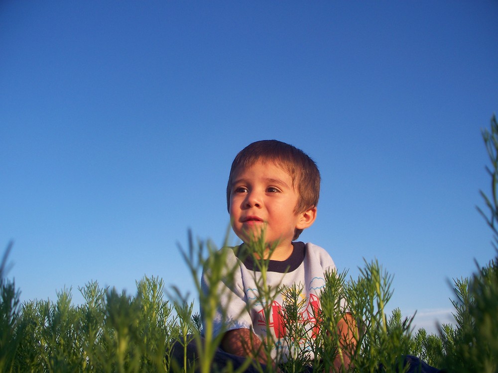 En el campo