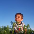 En el campo