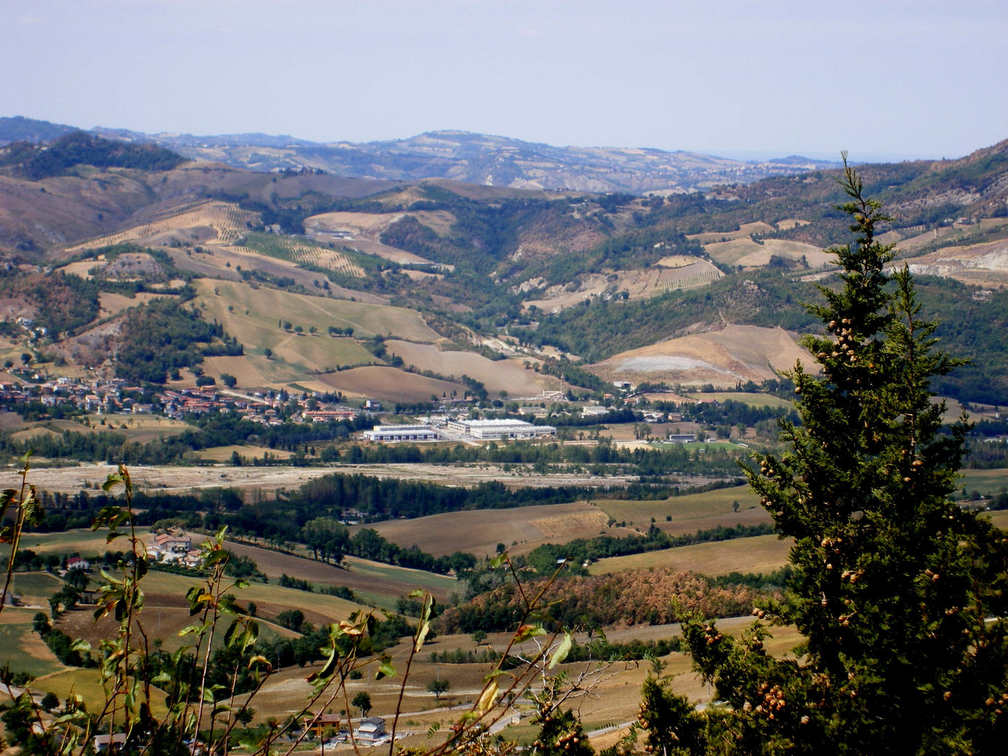 EN EL CAMPO