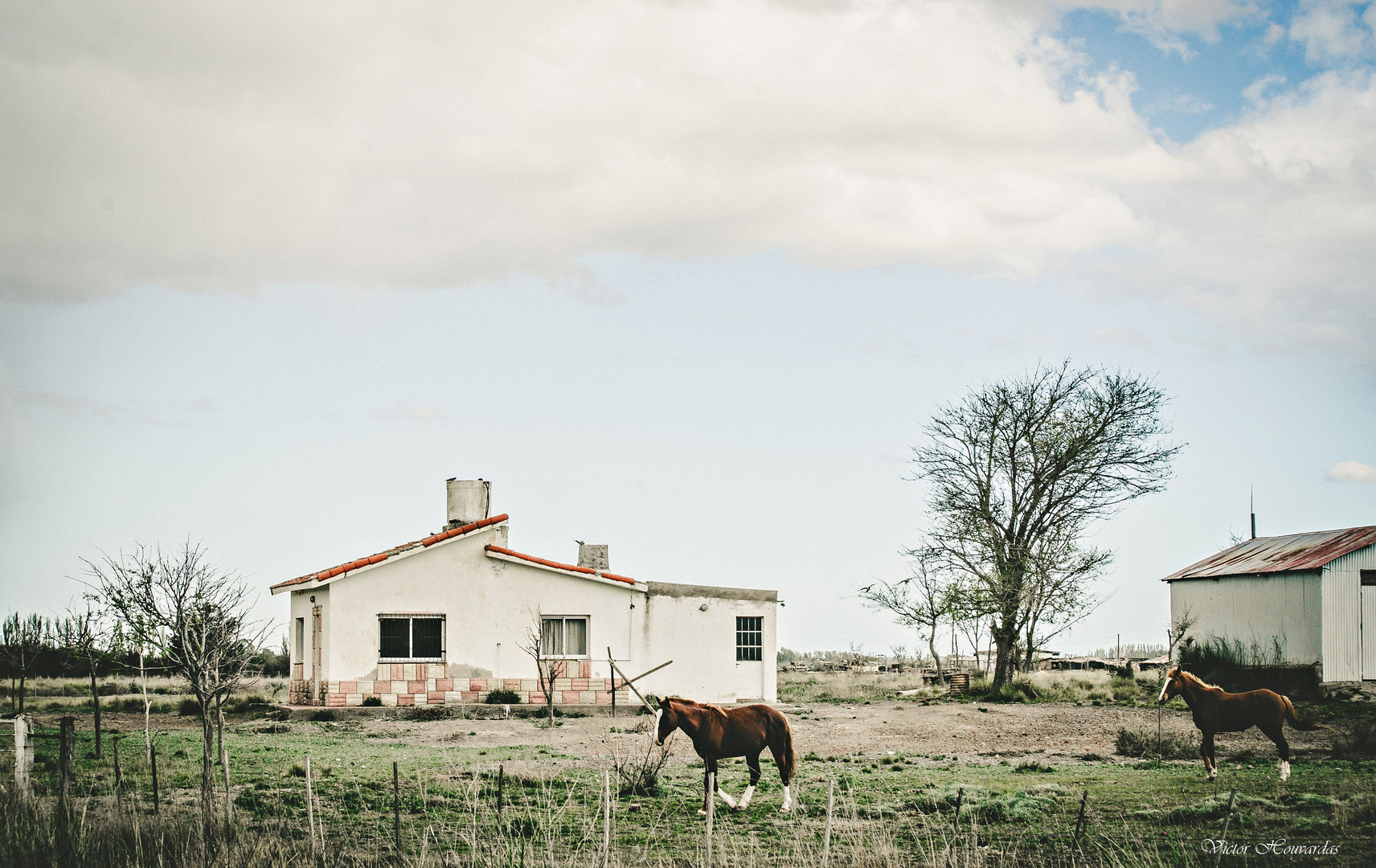 ,EN EL CAMPO