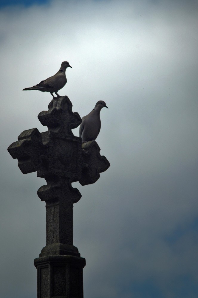 En el cementerio