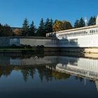 En el lago del Auditorio De Galicia