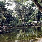 EN EL LAGO - JARDIN BOTANICO EN MEDELLIN