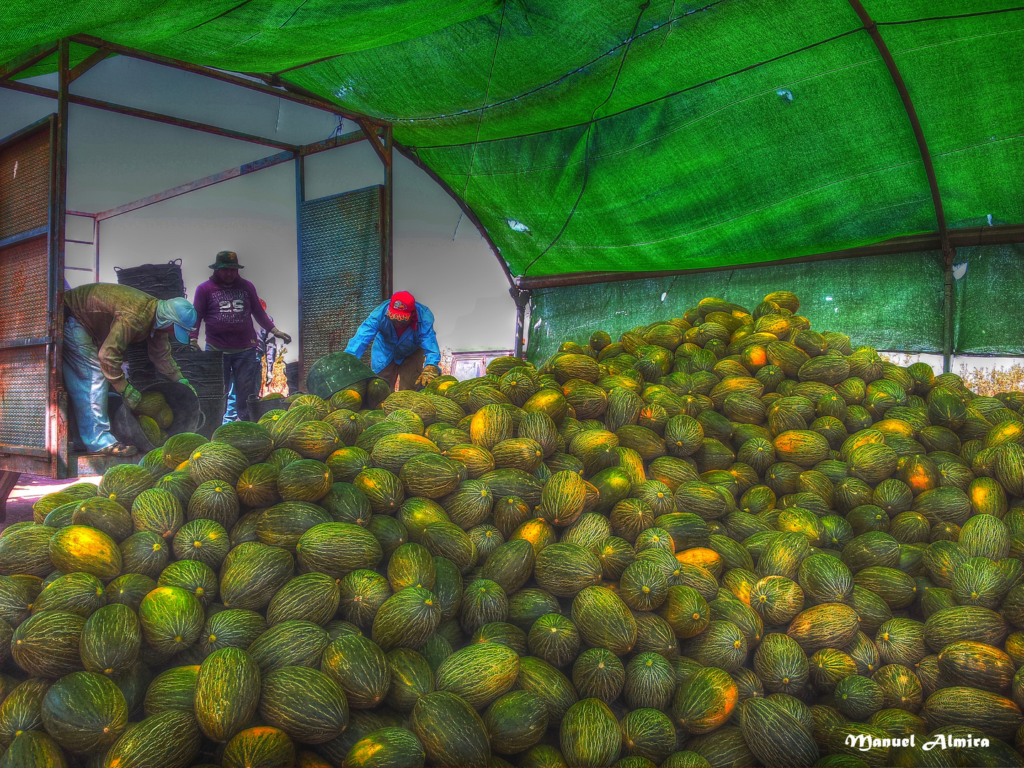 En el Melonar