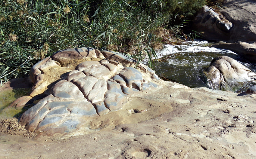 En el pantano de Elche