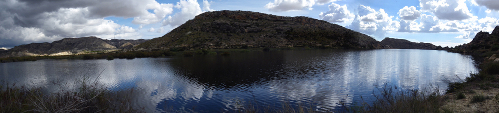 En el Pantano de Elche