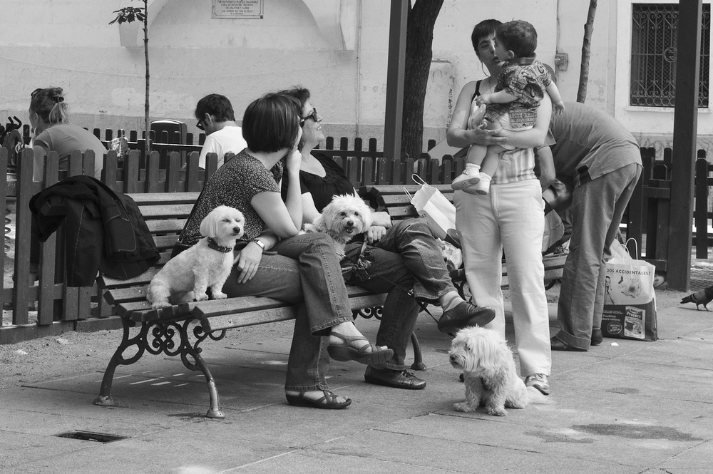 En el parque