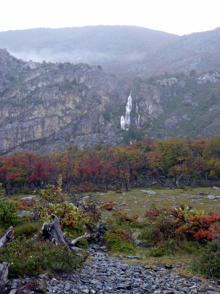 en el parque los glaciares...