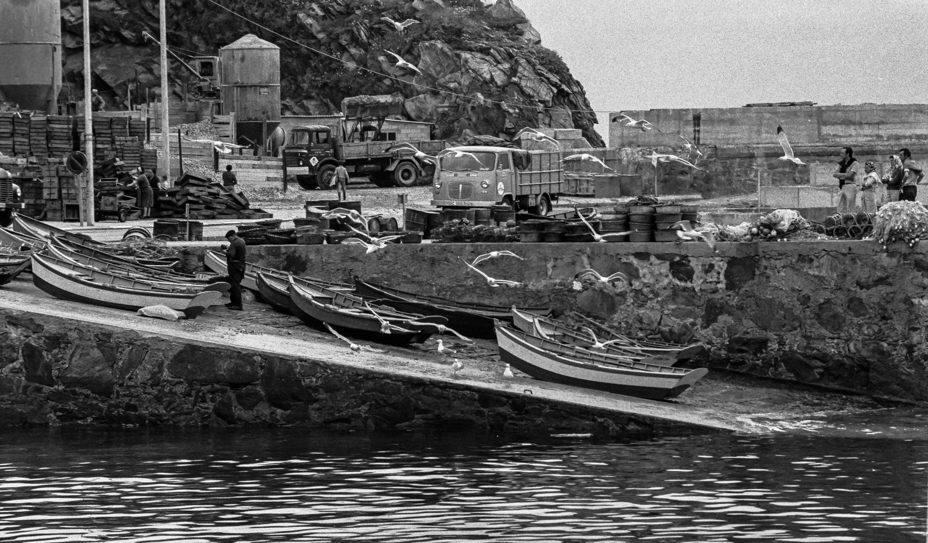 EN EL PUERTO DE MALPICA