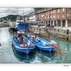 En el Puerto de San Sebastián (para Gasser Lisbeth)