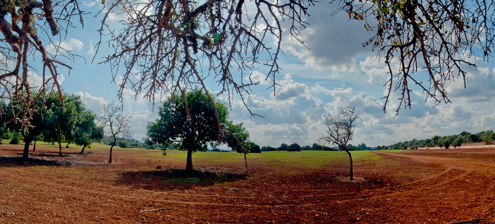 En el Rancho Grande