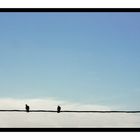 En équilibre fragile sur le fil, profité à deux, du ciel tant qu'il est bleu