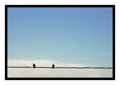 En équilibre fragile sur le fil, profité à deux, du ciel tant qu'il est bleu