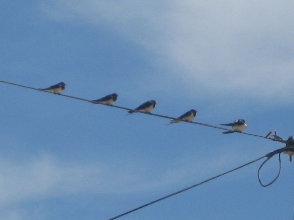 EN EQUILIBRIO de Begoña Sastre 