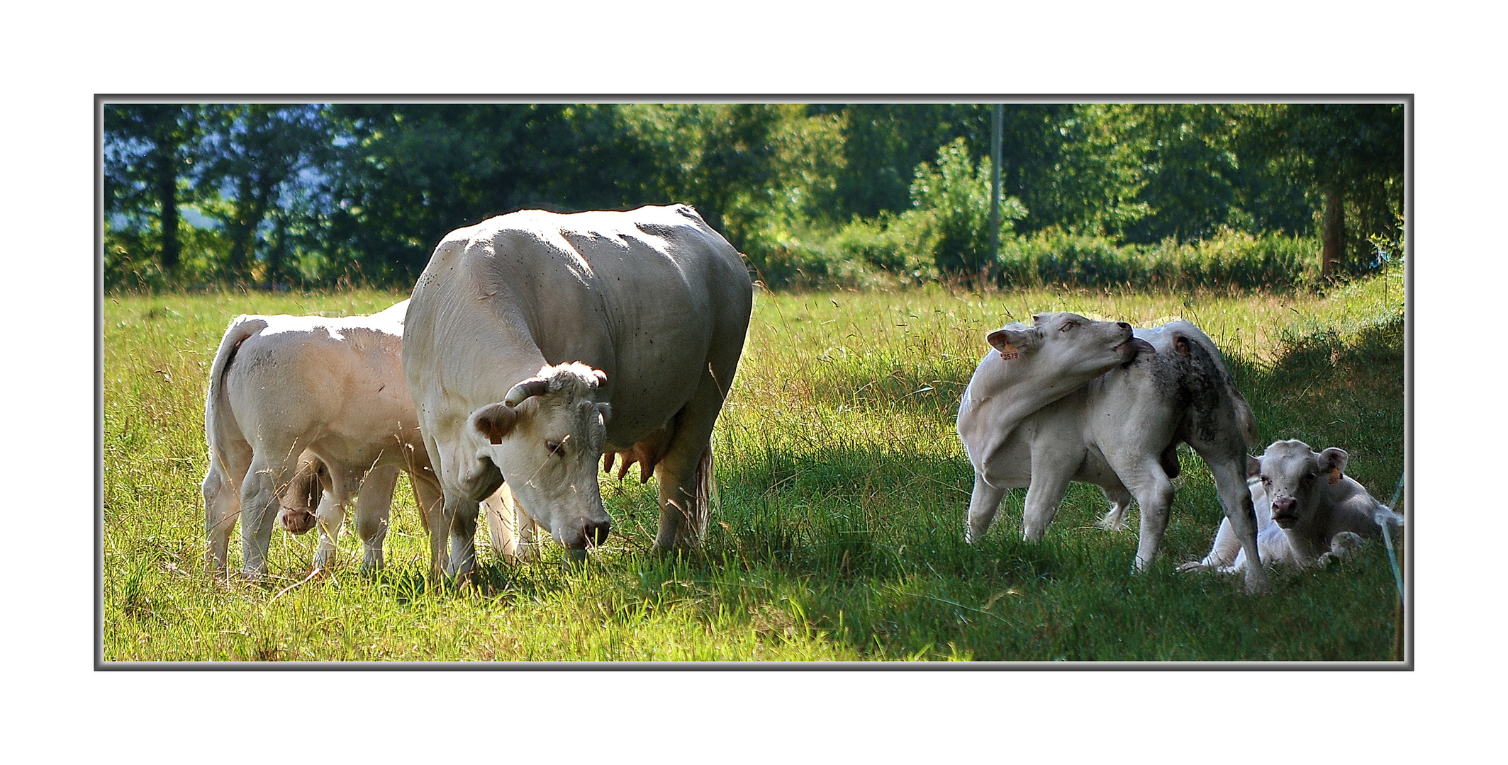 En famille