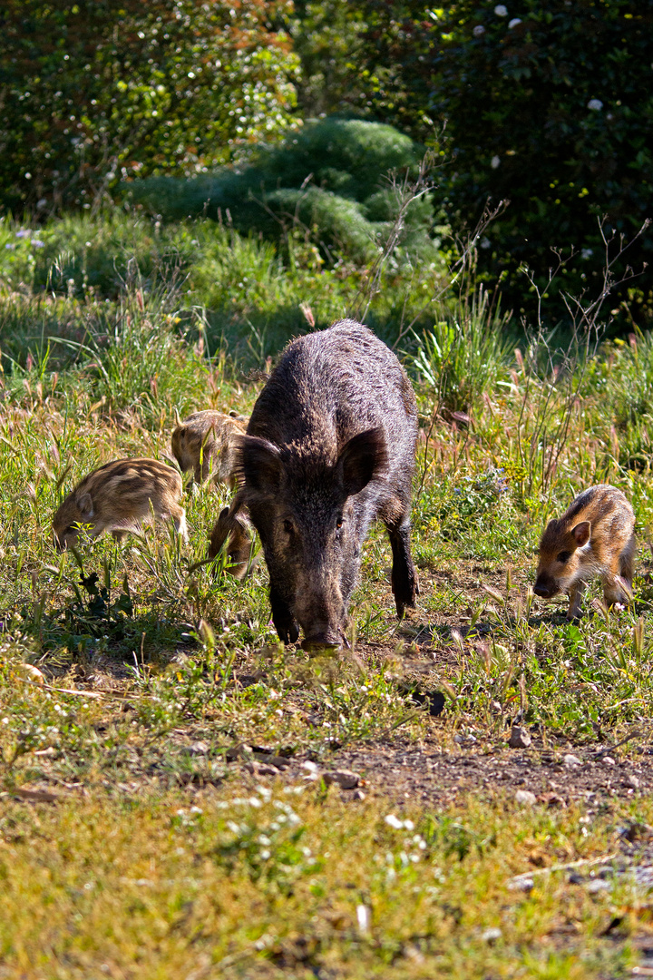 En famille ...