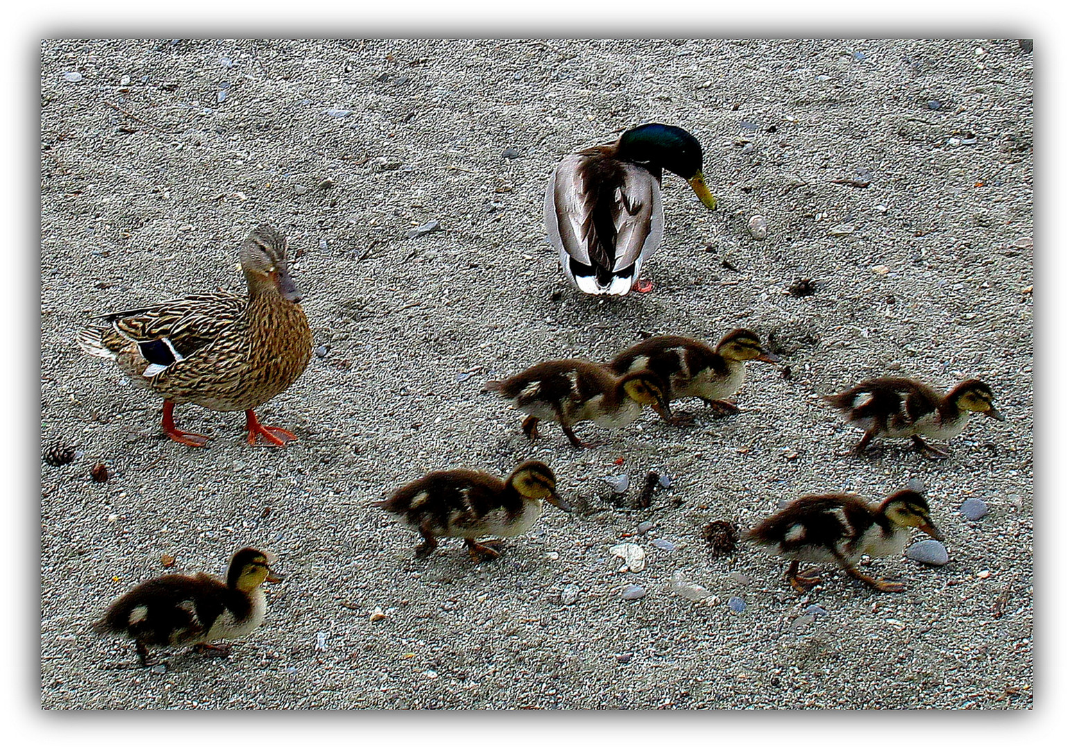 en famille...