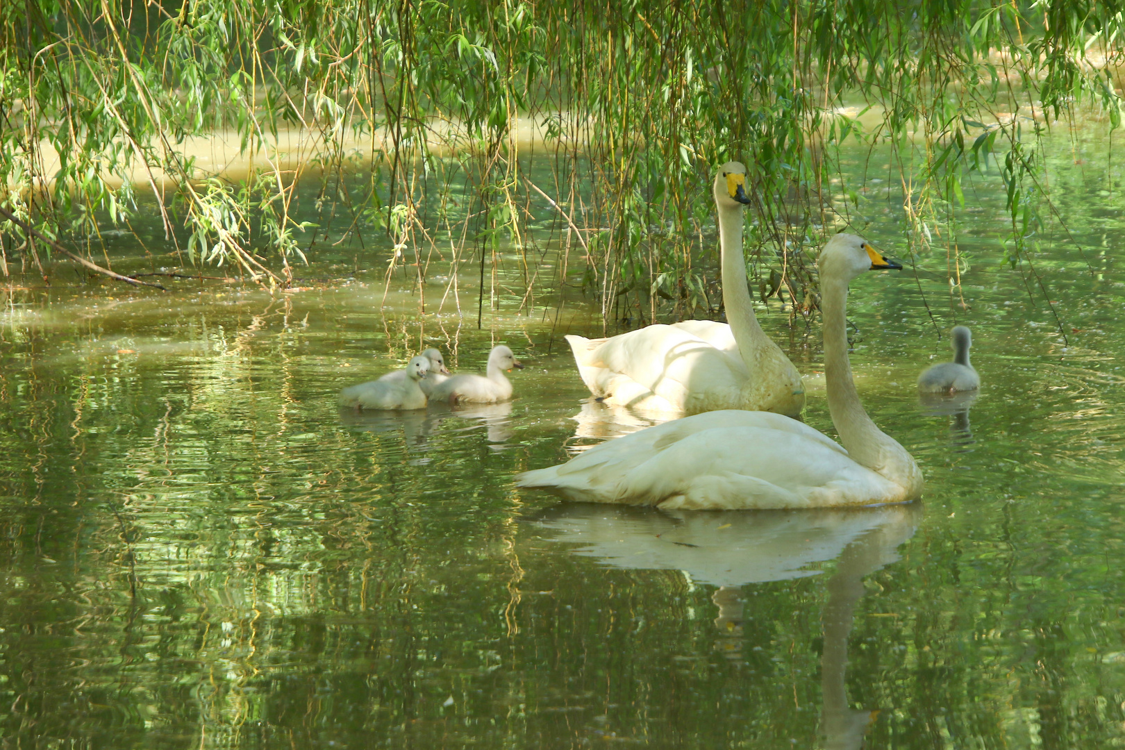 en famille !!!