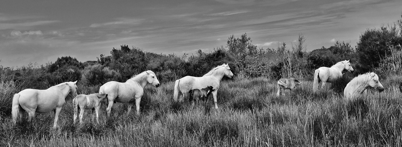 En famille !