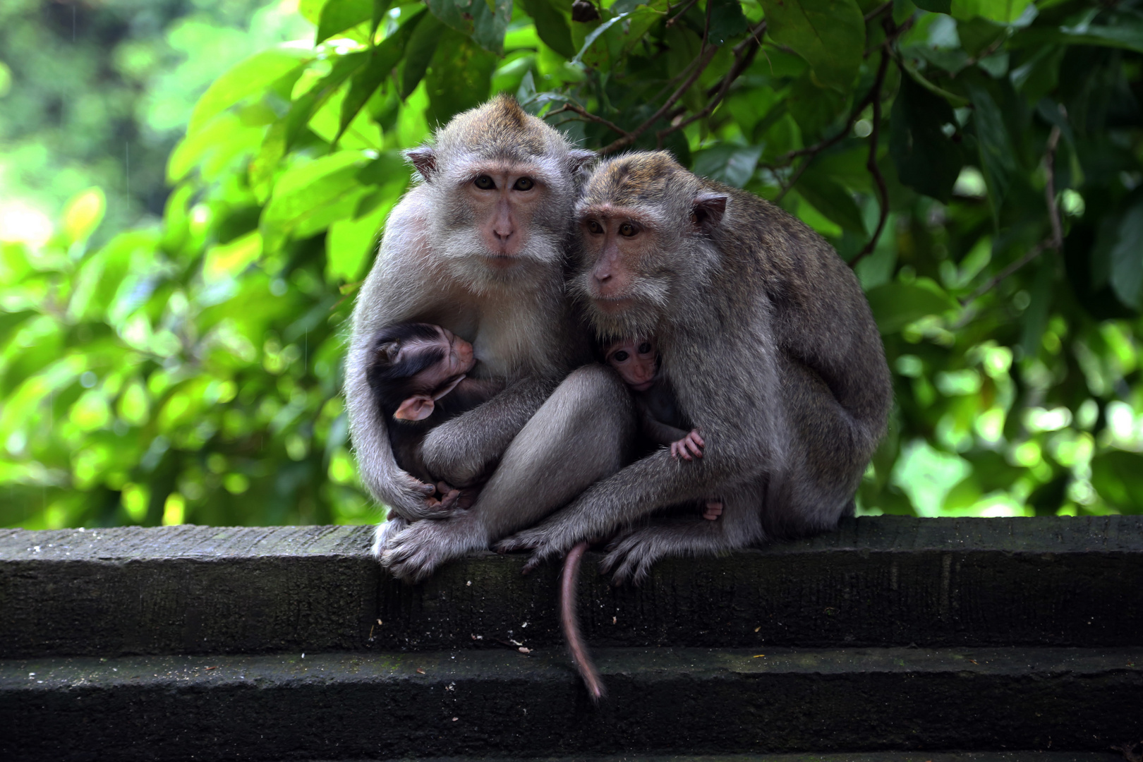 En famille 