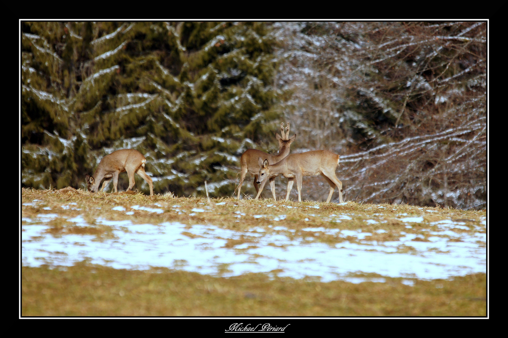 En famille