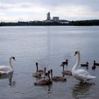 En famille sur le Rhône....