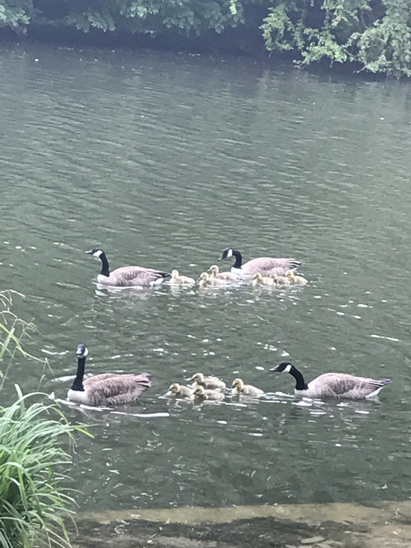 En familles !