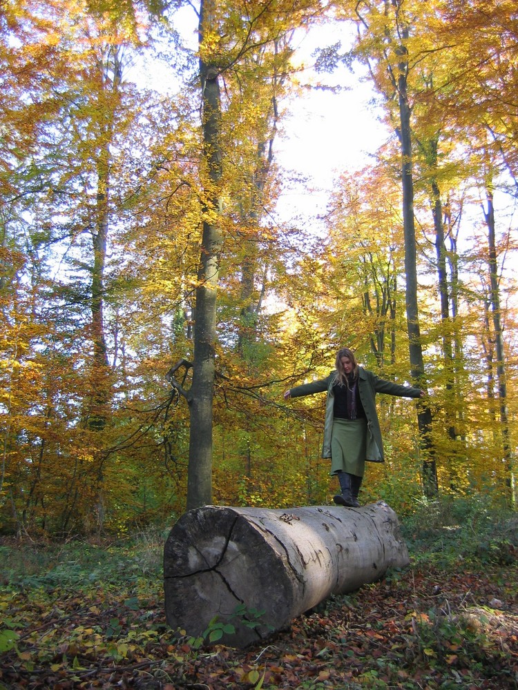 En forêt, je m'amuse...