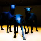 'En garde' oder 'Untitled (Three Dogs)' 2023
