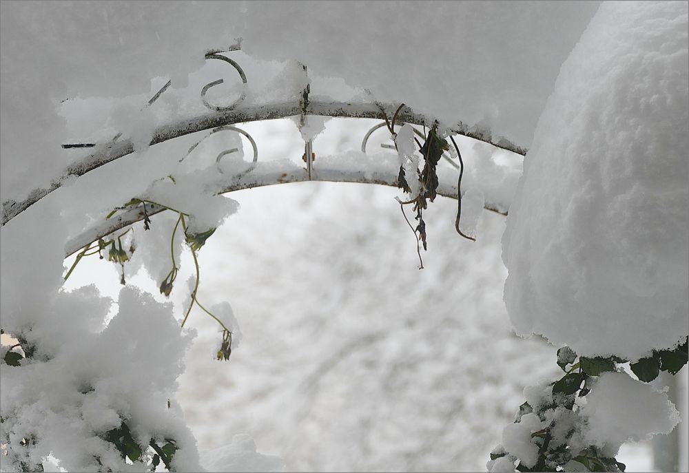   En  Garten   