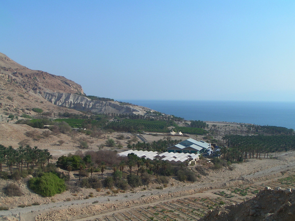 En Gedi - Am Toten Meer