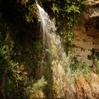 en Gedi Reserve (Israel)