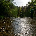 En haut dans l'eau