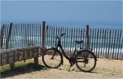 En haut de la dune